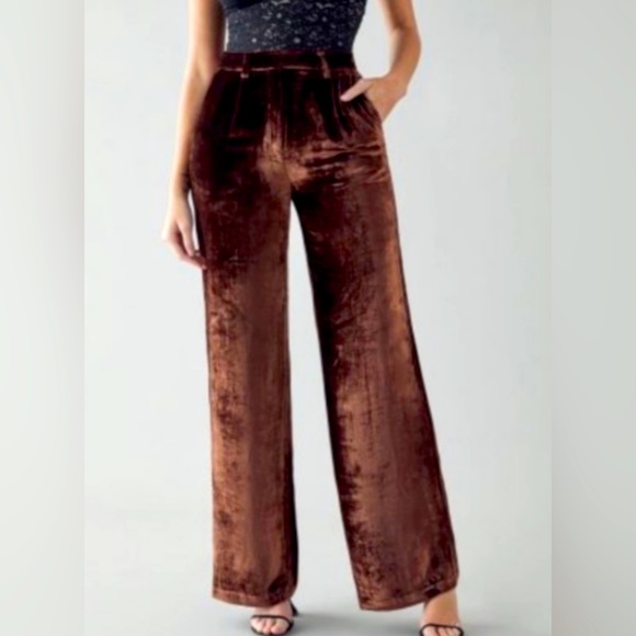 Reformation Pants - Reformation Wes Pant in Chestnut Velvet Silk Blend Size 6 Pockets Wide Leg NWOT